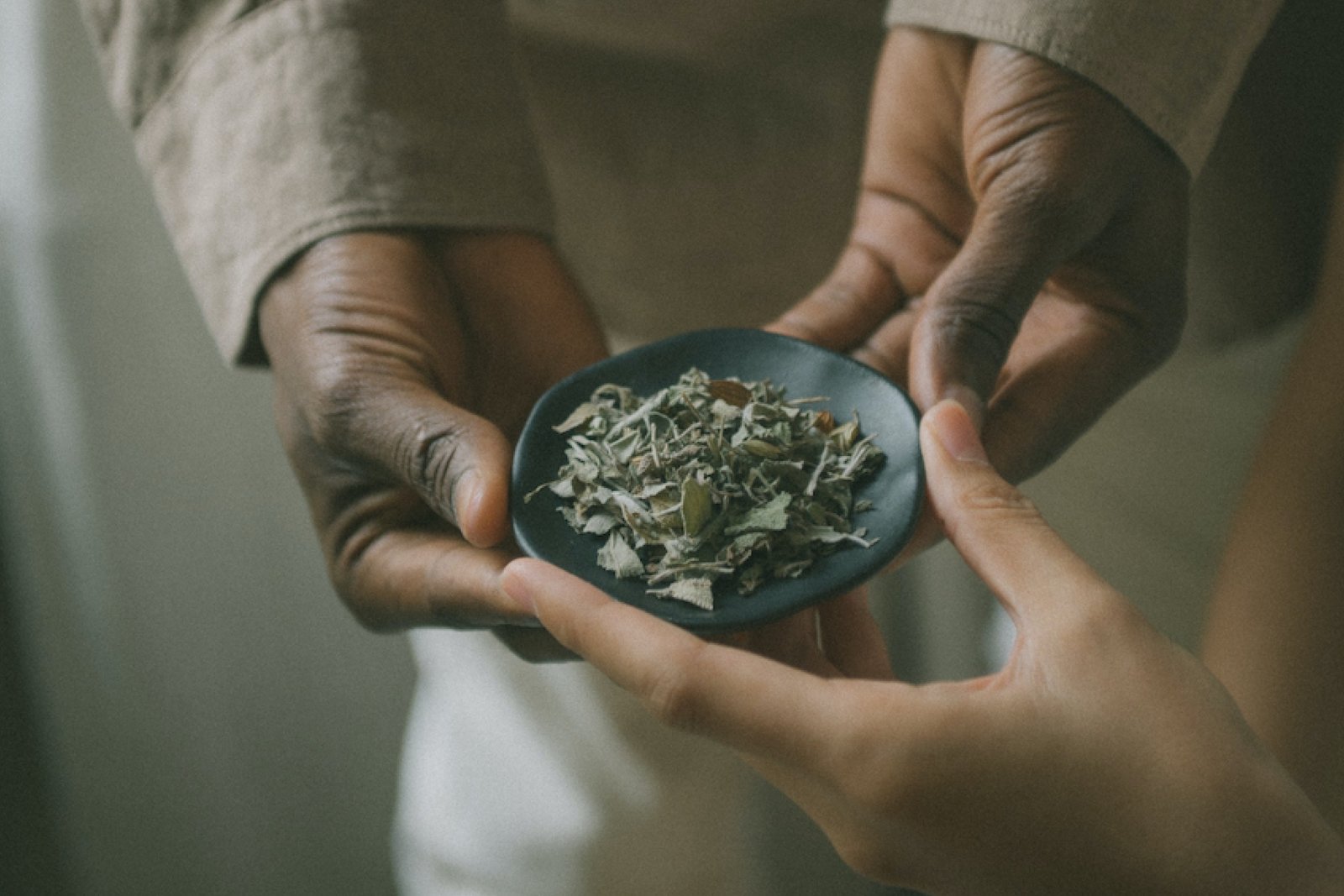 two hands holding one small dish of dried herbs